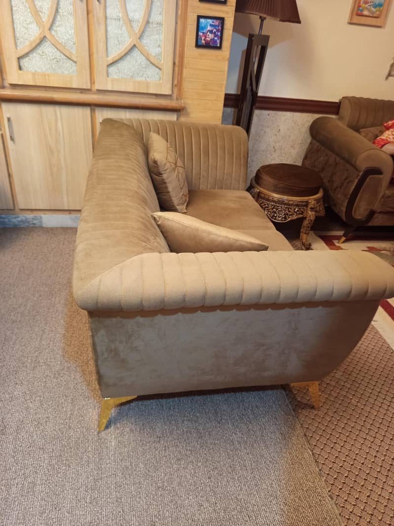 solid wood ma hai 2