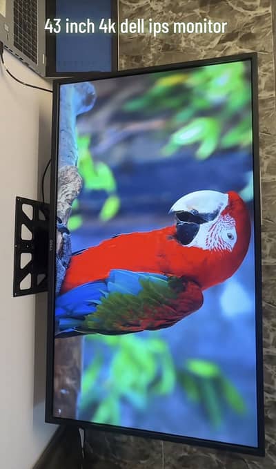 Dell 43 inch 4k ips monitor