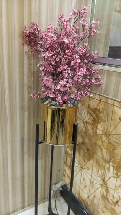 plants for sale in excellent condition