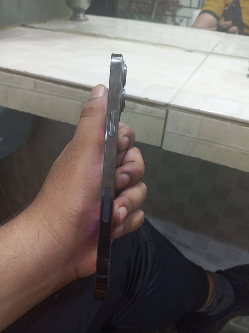 13 pro max 1