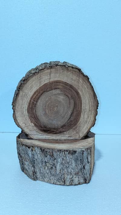 Lakri ki modhi (wooden chopping block) available