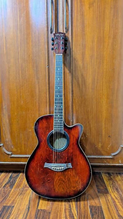 Caraya Professional Guitar