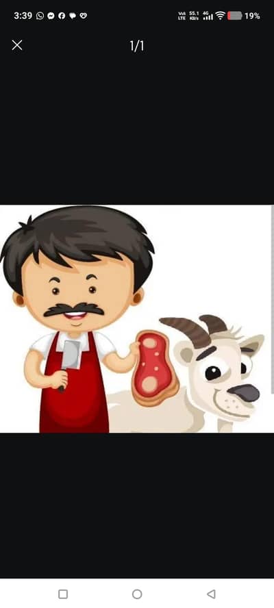 Bakra katwany kiliye rabta kre phela dusra or tesra din