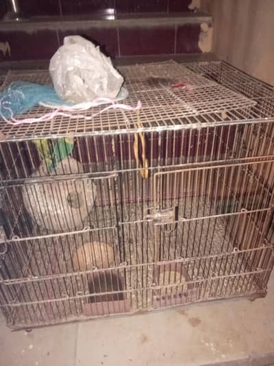 selling my cage with 2 birds space issue hn jabhi sell kr rha