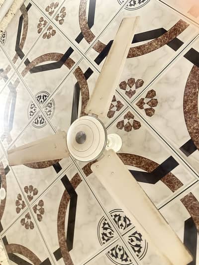 Celling fan