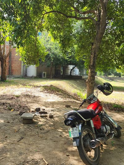 Honda 125 For Sale – Powerful & Well Maintained