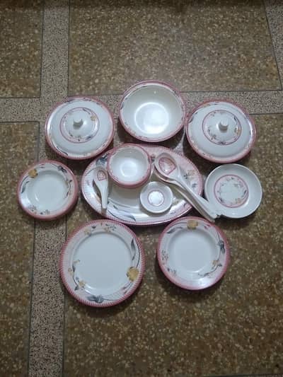 54 Pic Dinner Sets