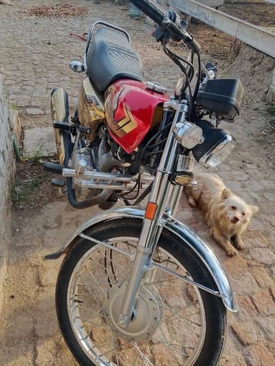 Honda 125 gold