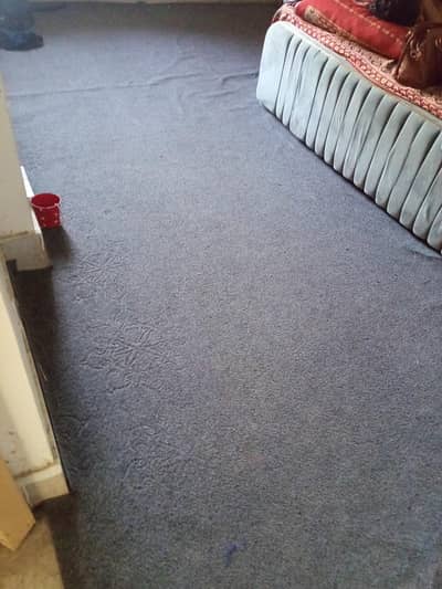 carpet for sale three rooms