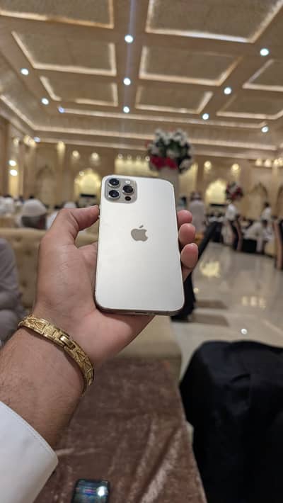 12 pro