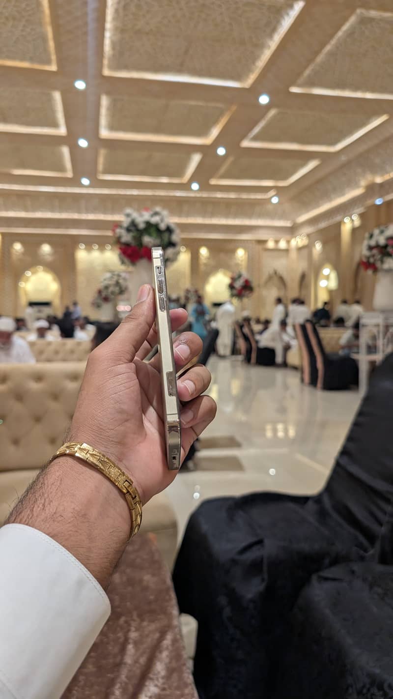 12 pro 3