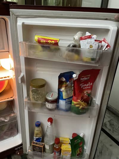 PEL Glass Door Refrigerator for sale
