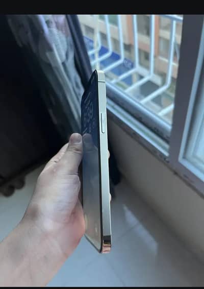 Apple iPhone 12 pro Max pta approved