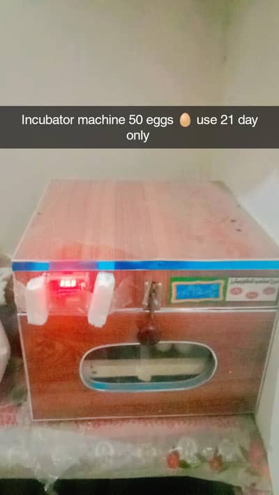 50 eggs  only one time used 10/10 condition