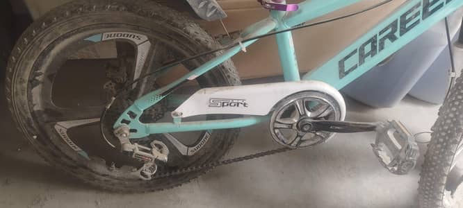bicycle career R1 Gear shifting Type
