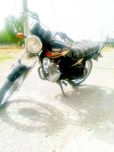 Genuine YBZ 2019 model for sale