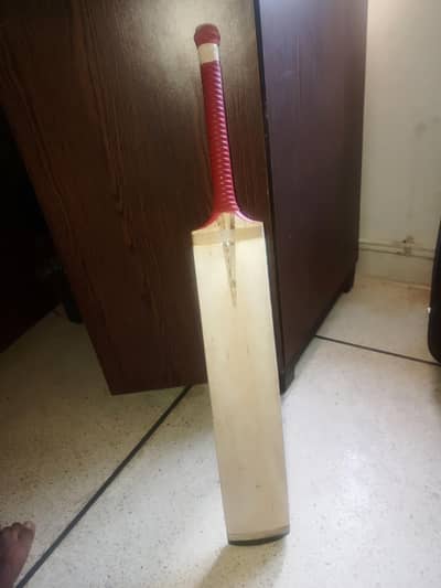 German coconut bat