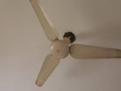 ceiling fan 56"