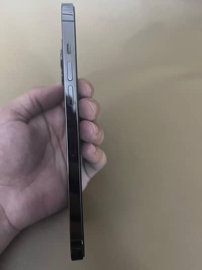 12 pro max 512 Gb