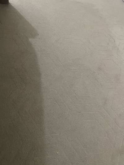 7 Months used Carpet for Sale