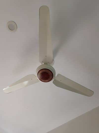 3 ceiling fan for sale per piece 7000