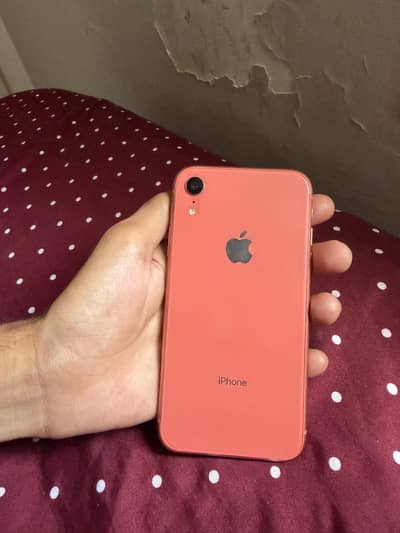 iPhone xr coral
