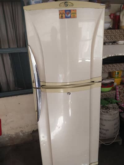 Pel Medium Size