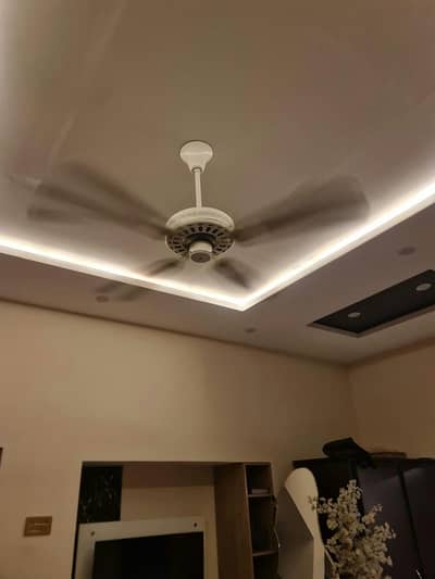 urgent sale fan 4 blade New box Pack