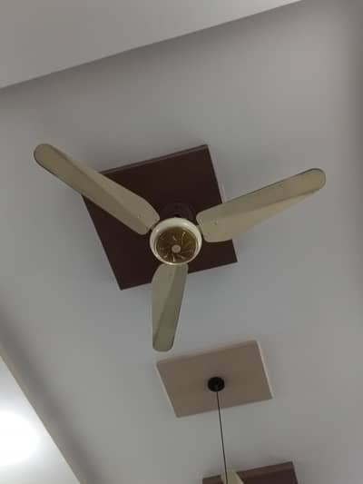 Ceiling Fans for Sale