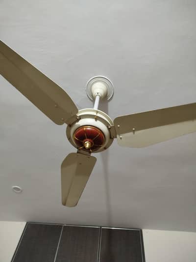 Taimoor fan Antique model