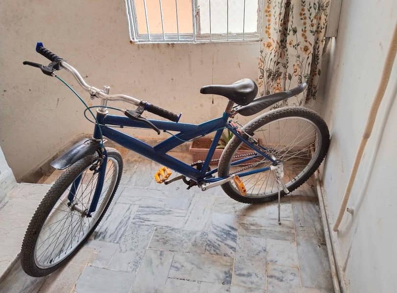 Bicycle 0