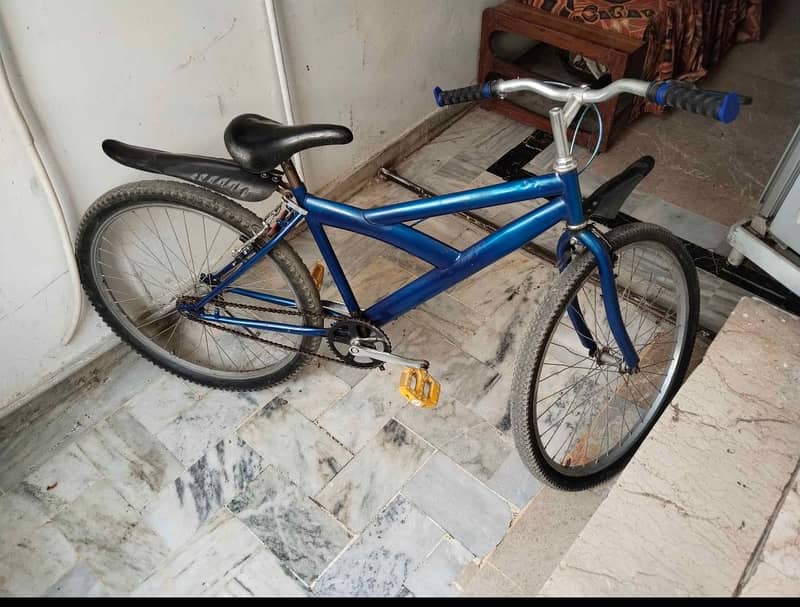 Bicycle 1
