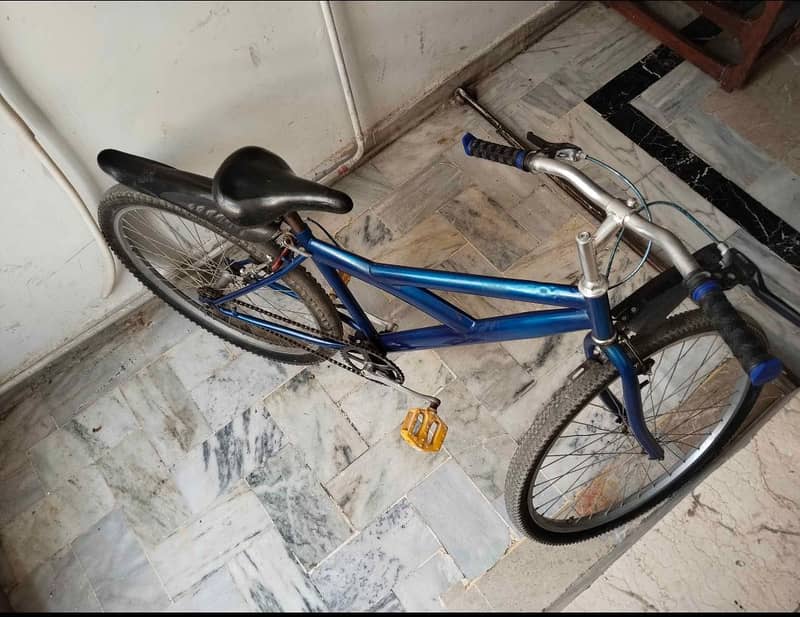 Bicycle 3