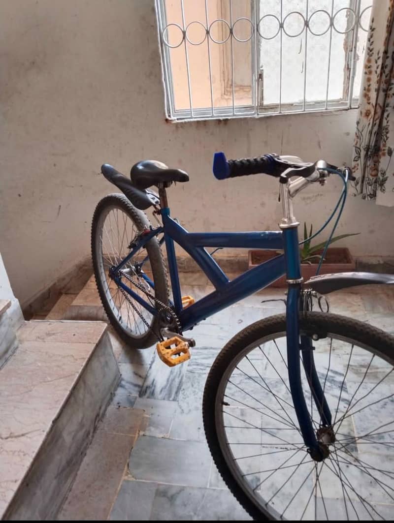 Bicycle 4