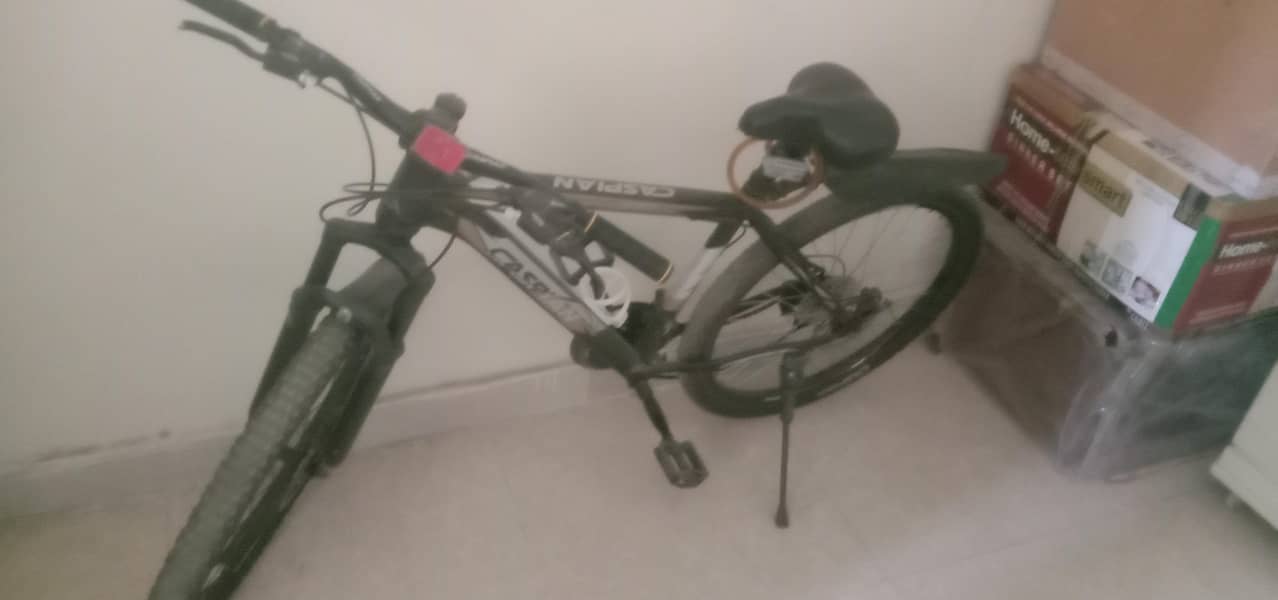 bicycle 2