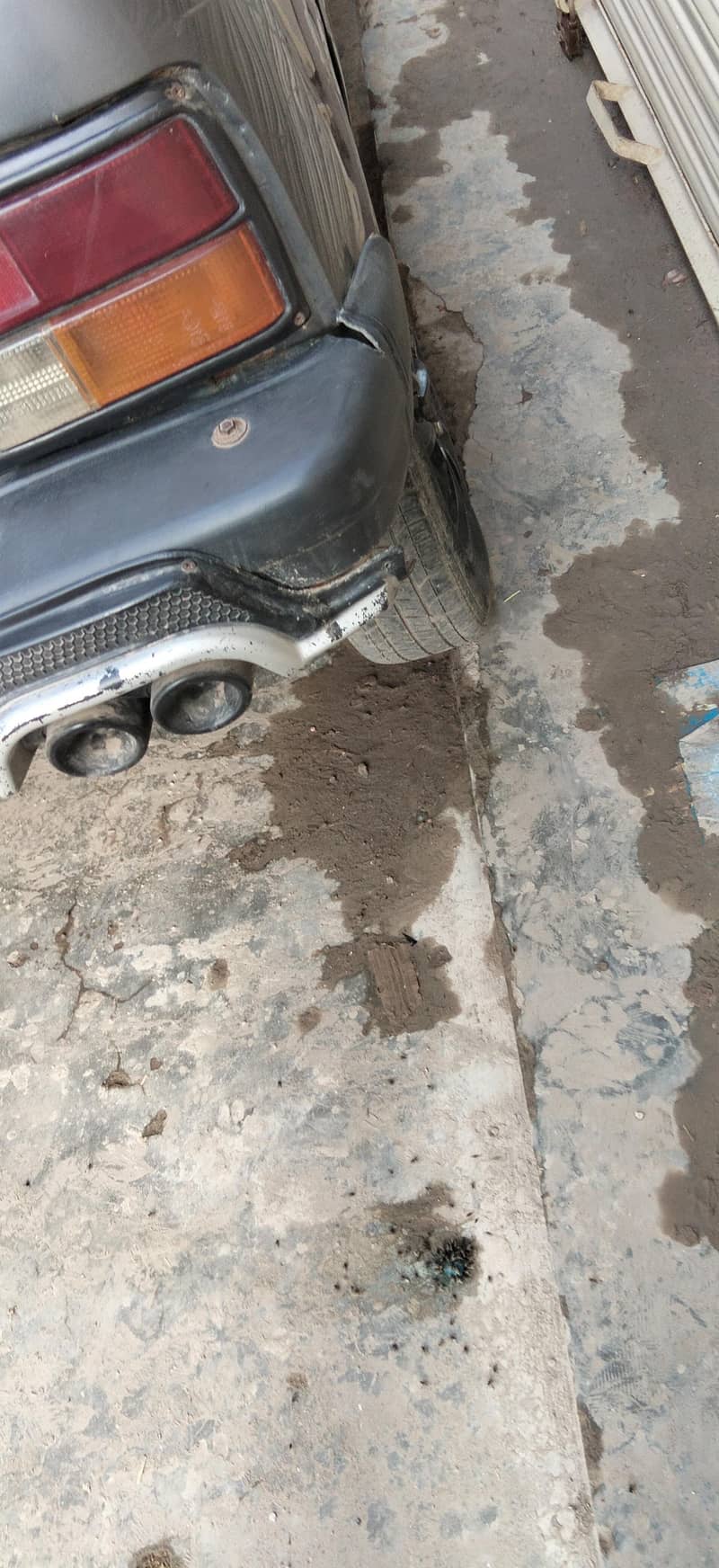 ارجنٹ سیل ایف ایکس 13