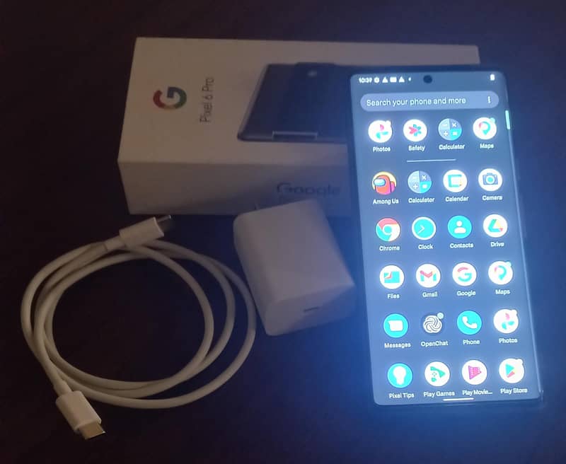 Google Pixel 6 Pro 1