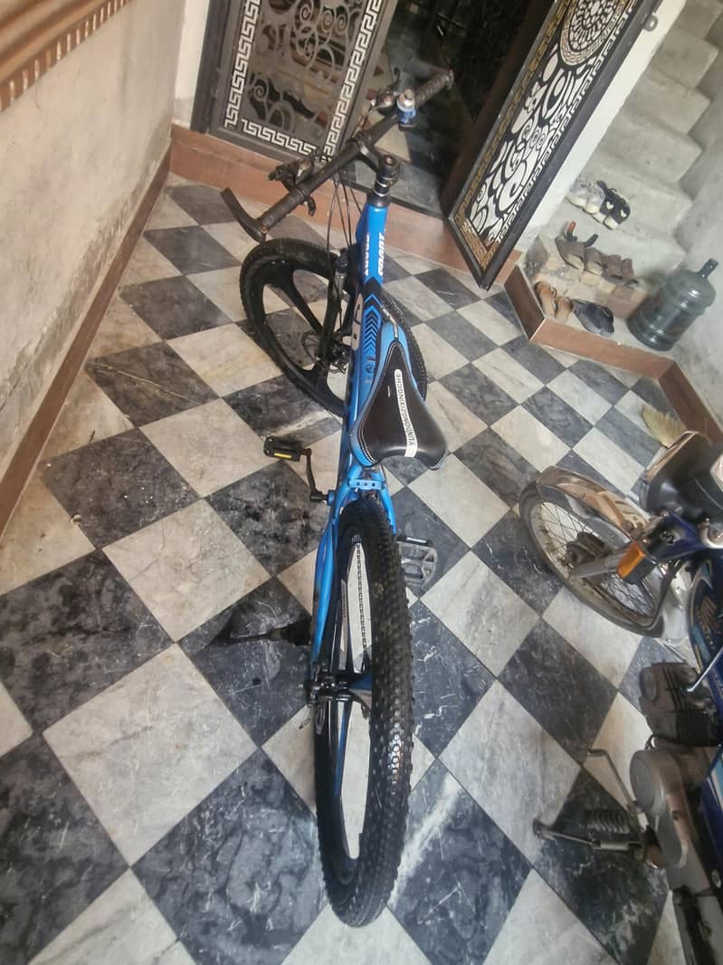 spots cycle 3