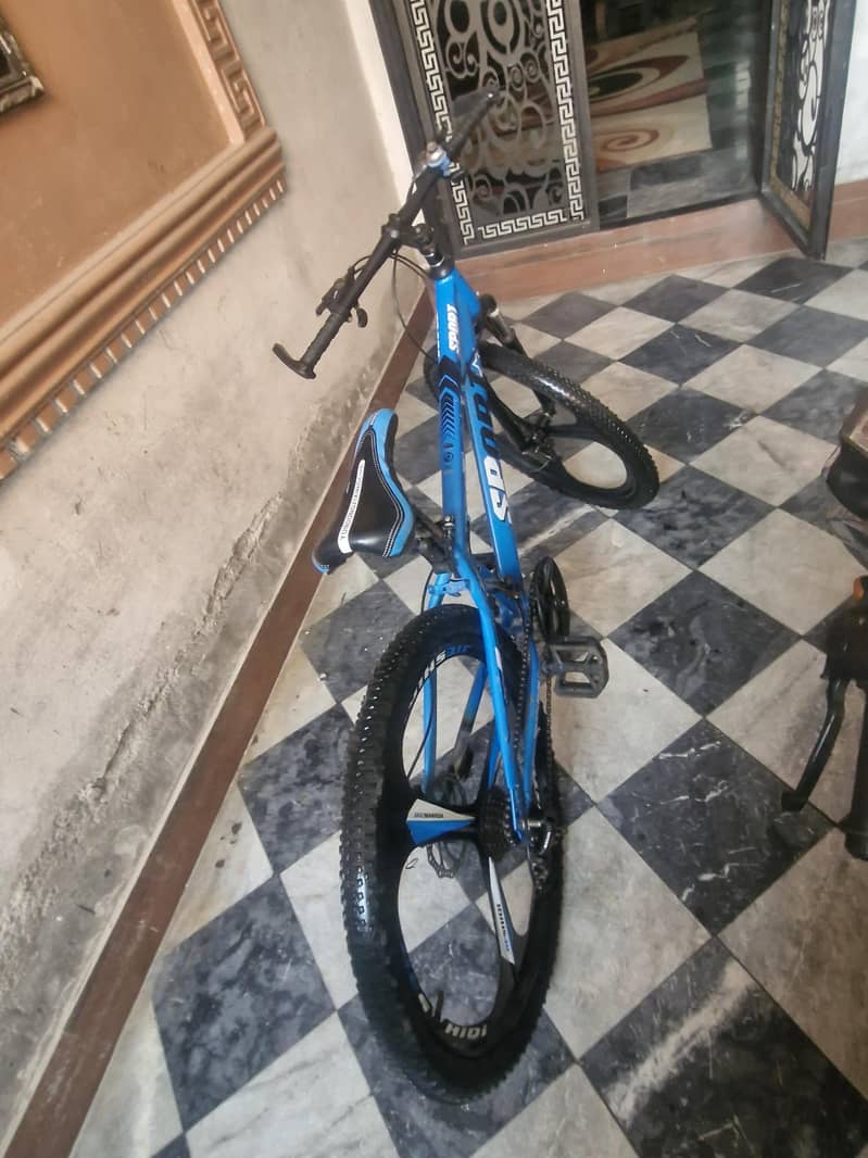 spots cycle 4