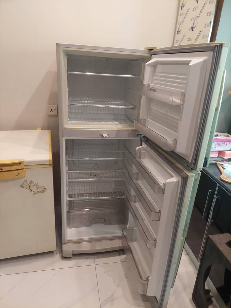 Fridge 12