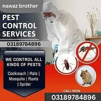Dengue Spray Termite Control /Deemak Control/Fumigation/Pest Control