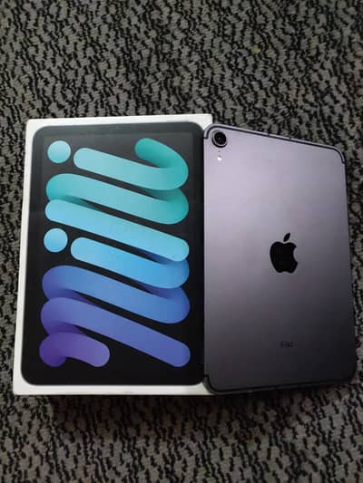 Ipad Mini 6 10 by 10