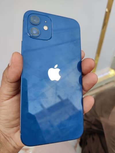 iPhone 12 Jv