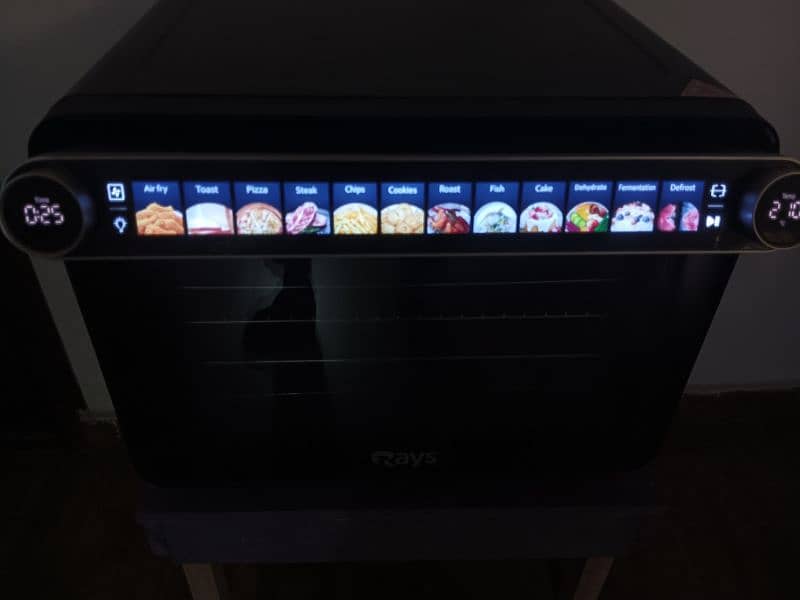 Rays Electric Oven 2