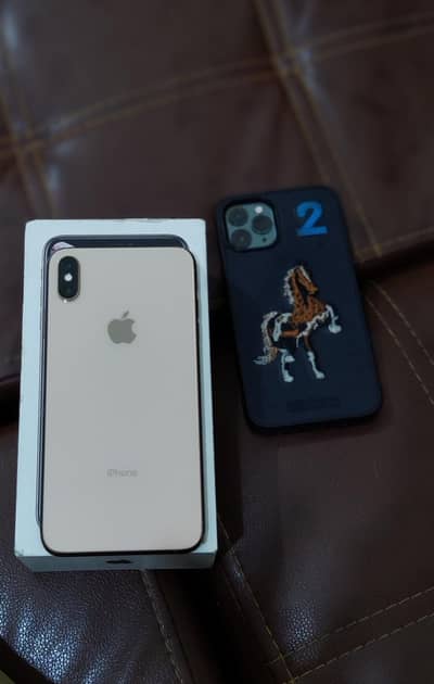 Xsmax 256GB
