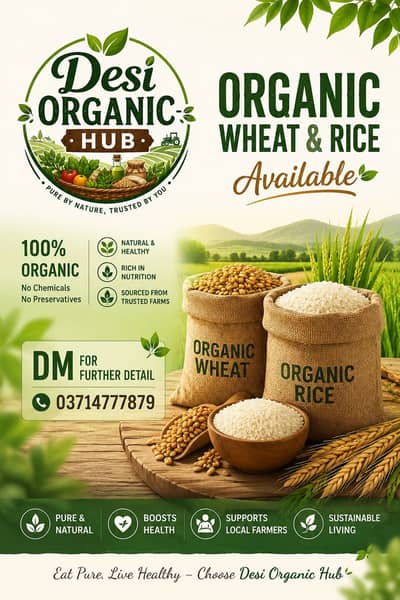 Rice/wheat