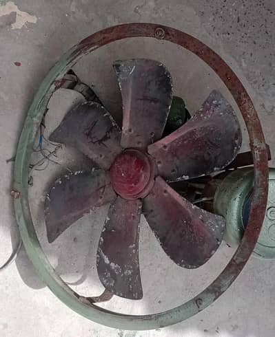 Air cooler fan