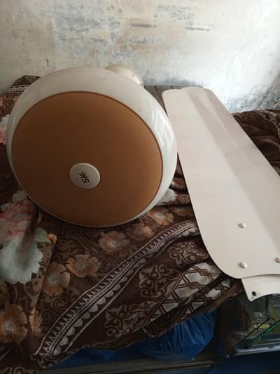New Fan Sk Company 03060373008
