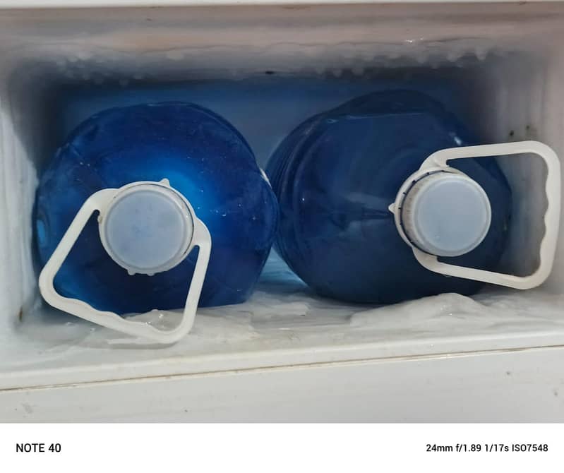 freezer 1