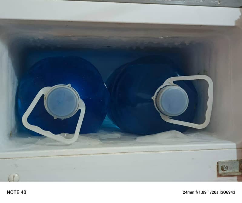 freezer 4